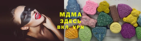 гашик Краснослободск