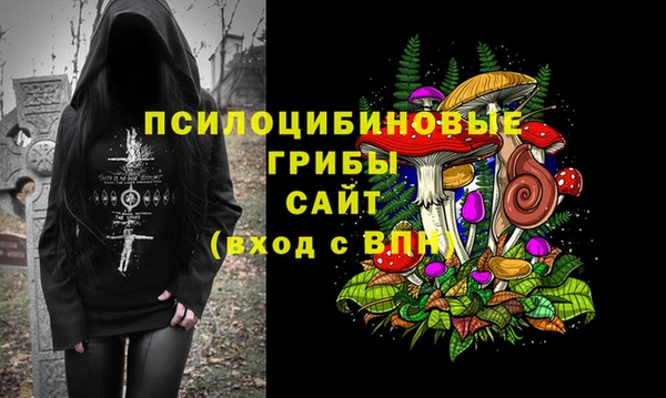 гашик Краснослободск