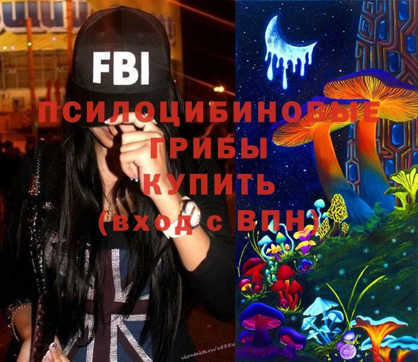 круглые Коряжма
