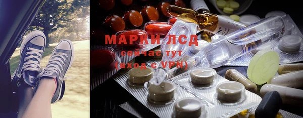 apvp Кукмор