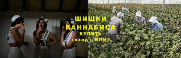 гашик Краснослободск