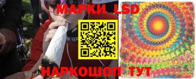 гидра Краснокаменск