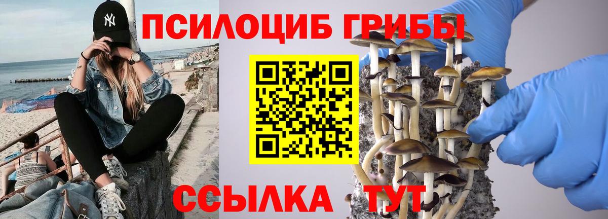Коммунар  купить наркотики сайты  Вход с VPN  Псилоцибиновые грибы прущие грибы  Галлюциногенные грибы Cubensis 